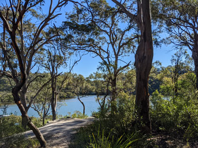 View of the Georges River Como Heritage Trail Bush Walk
