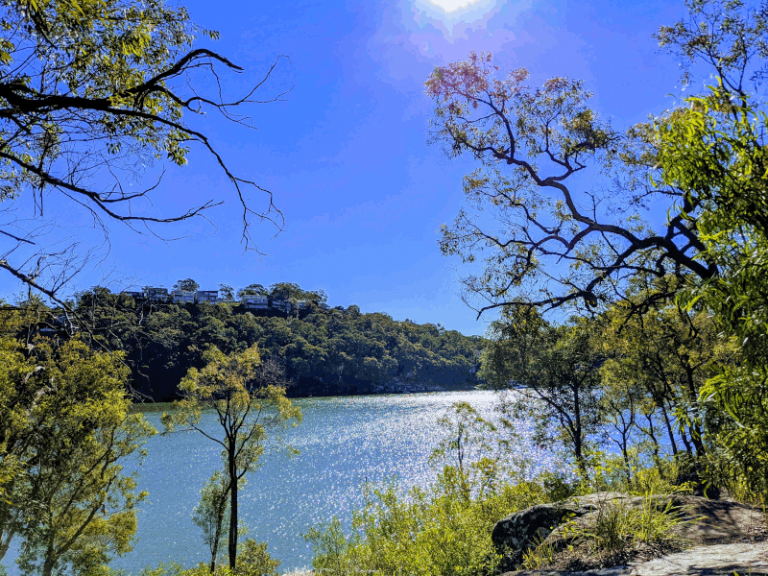 Como Heritage Trail Bush Walk – Short