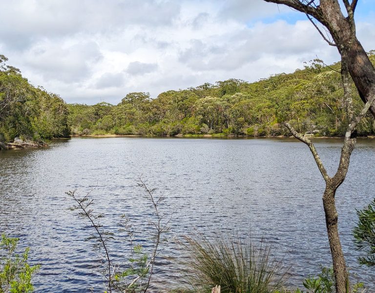 Wilson's Creek Dam. Garawarra State Conservation Area - South of The Royal National Park